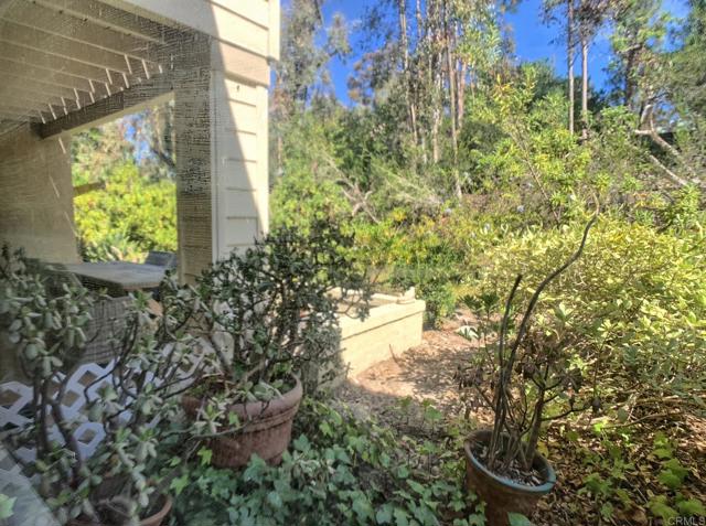 MLS #PTP2508513 image #19