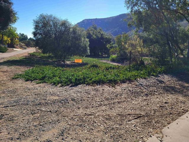 MLS #PTP2508546 image #14