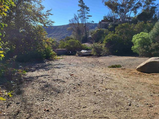 MLS #PTP2508546 image #15