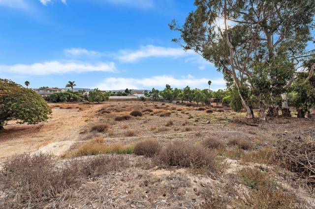 MLS #PTP2508592 image #38