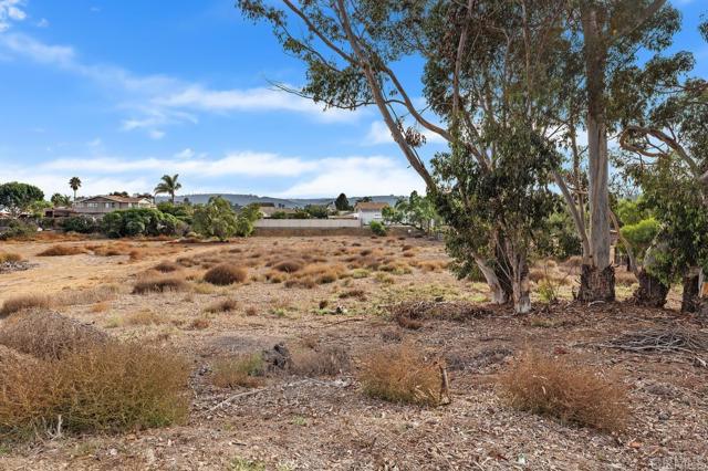 MLS #PTP2508592 image #39