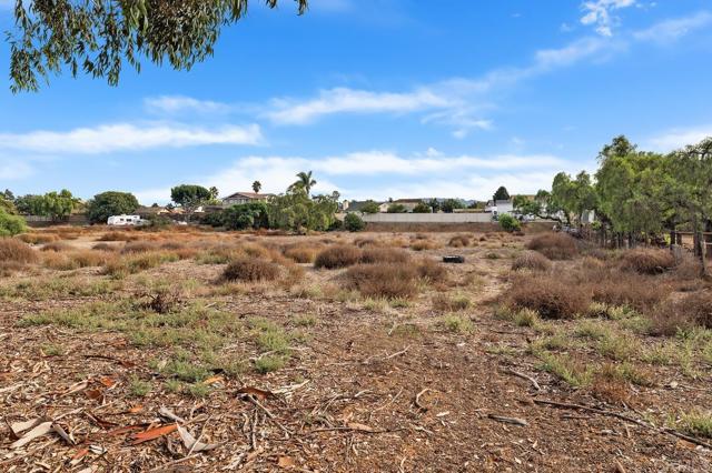 MLS #PTP2508592 image #40