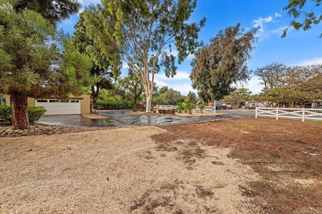 MLS #PTP2508592 image #8