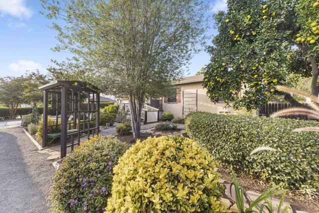 MLS #PTP2508598 image #4