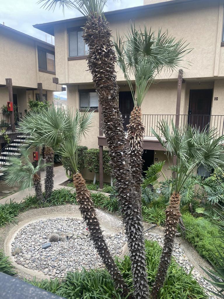 MLS #PTP2508603 image #3