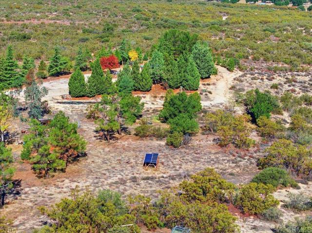 MLS #PTP2508634 image #16