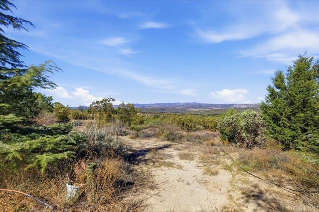 MLS #PTP2508634 image #34