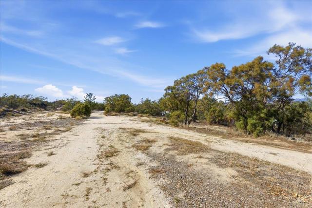 MLS #PTP2508634 image #39