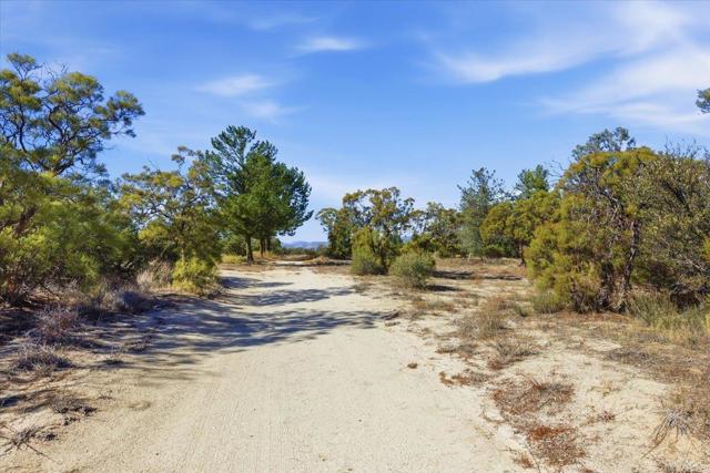 MLS #PTP2508634 image #41