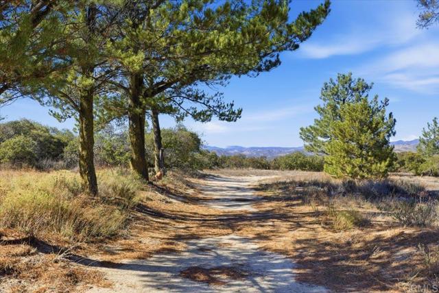 MLS #PTP2508634 image #43