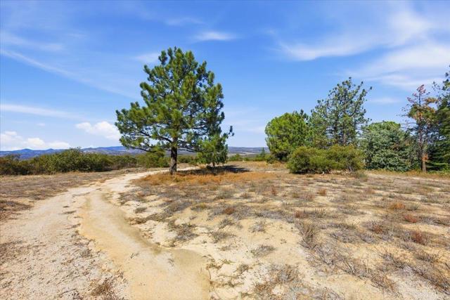 MLS #PTP2508634 image #44