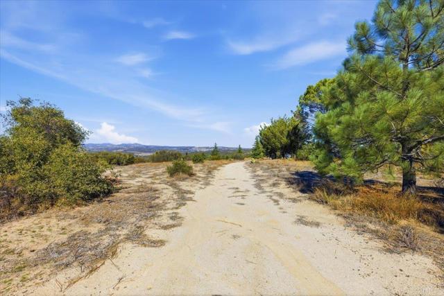 MLS #PTP2508634 image #45