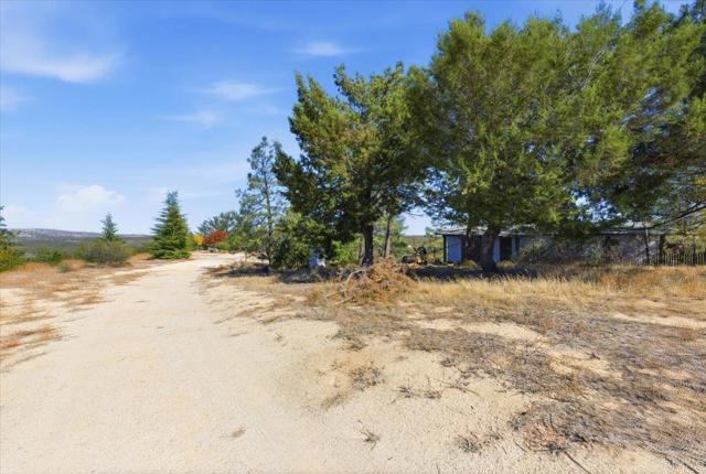 MLS #PTP2508634 image #46