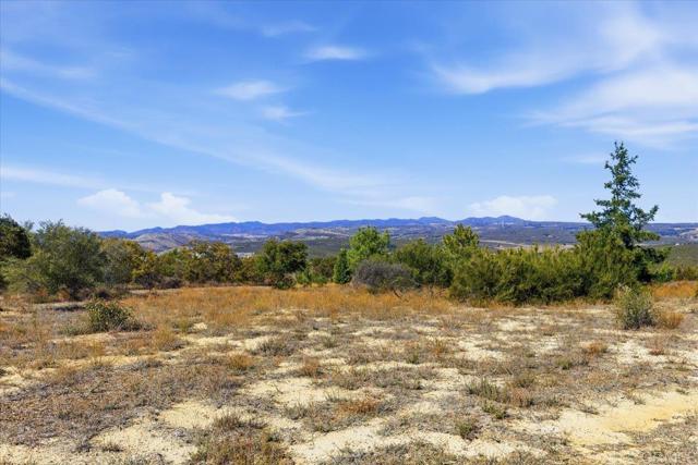 MLS #PTP2508634 image #47