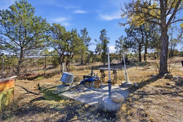 MLS #PTP2508634 image #52