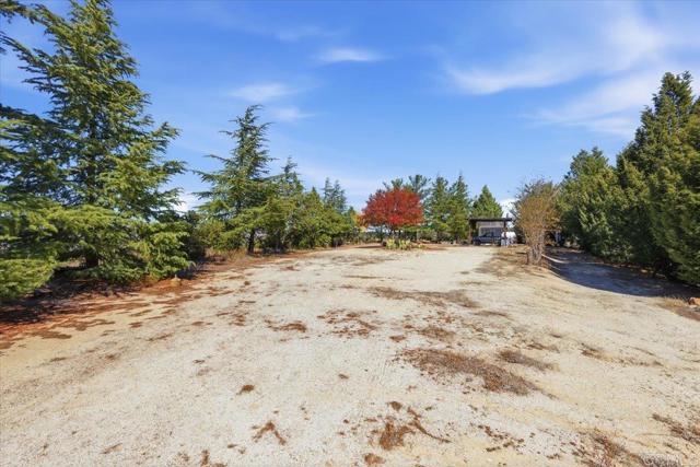 MLS #PTP2508634 image #56