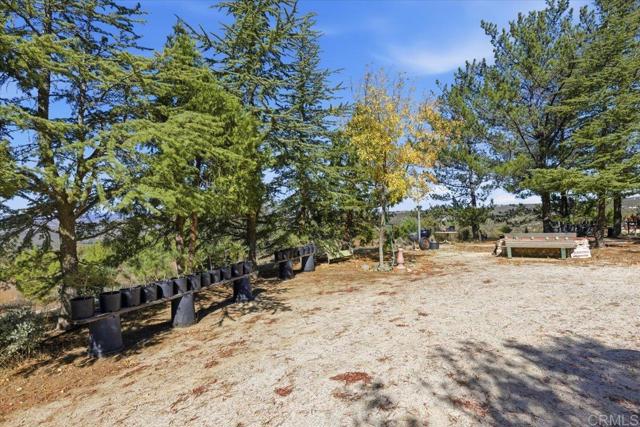 MLS #PTP2508634 image #57