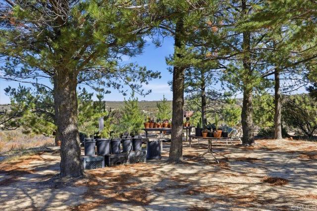 MLS #PTP2508634 image #58