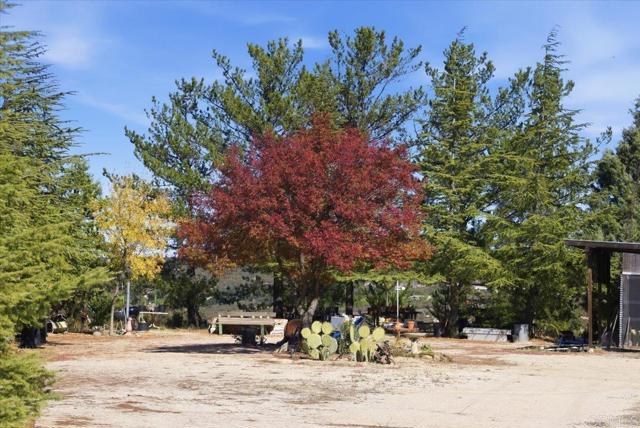 MLS #PTP2508634 image #64