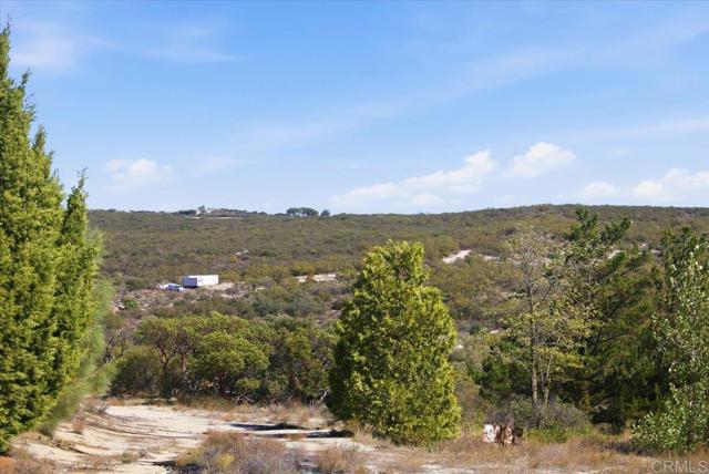 MLS #PTP2508634 image #65