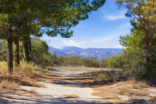 MLS #PTP2508634 image #66