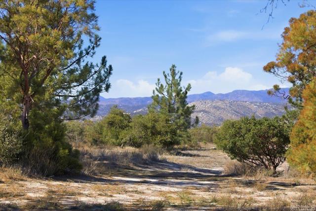 MLS #PTP2508634 image #67