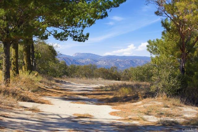 MLS #PTP2508634 image #68