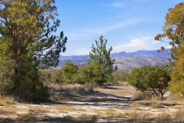 MLS #PTP2508634 image #69