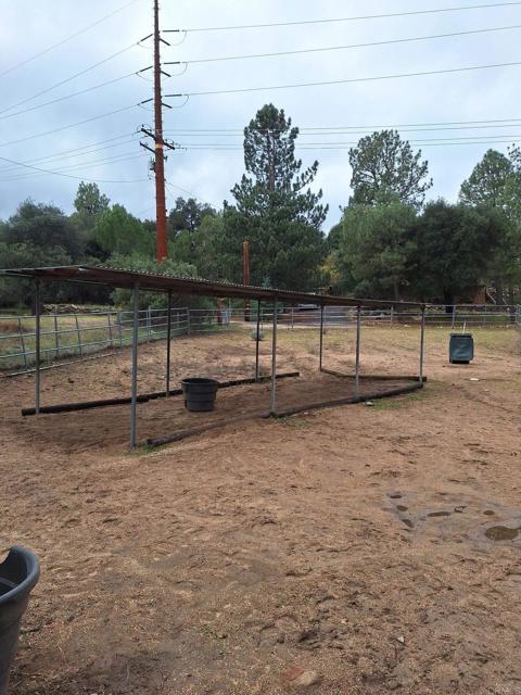 MLS #PTP2508654 image #4