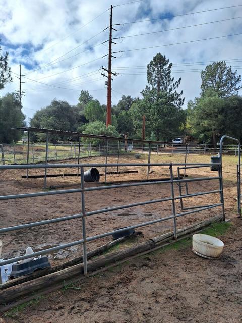 MLS #PTP2508654 image #5