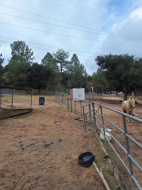 MLS #PTP2508654 image #6