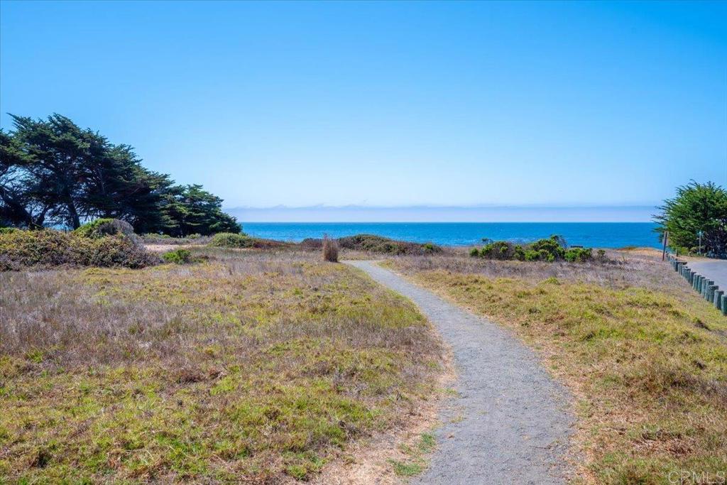 MLS #PTP2508801 image #42