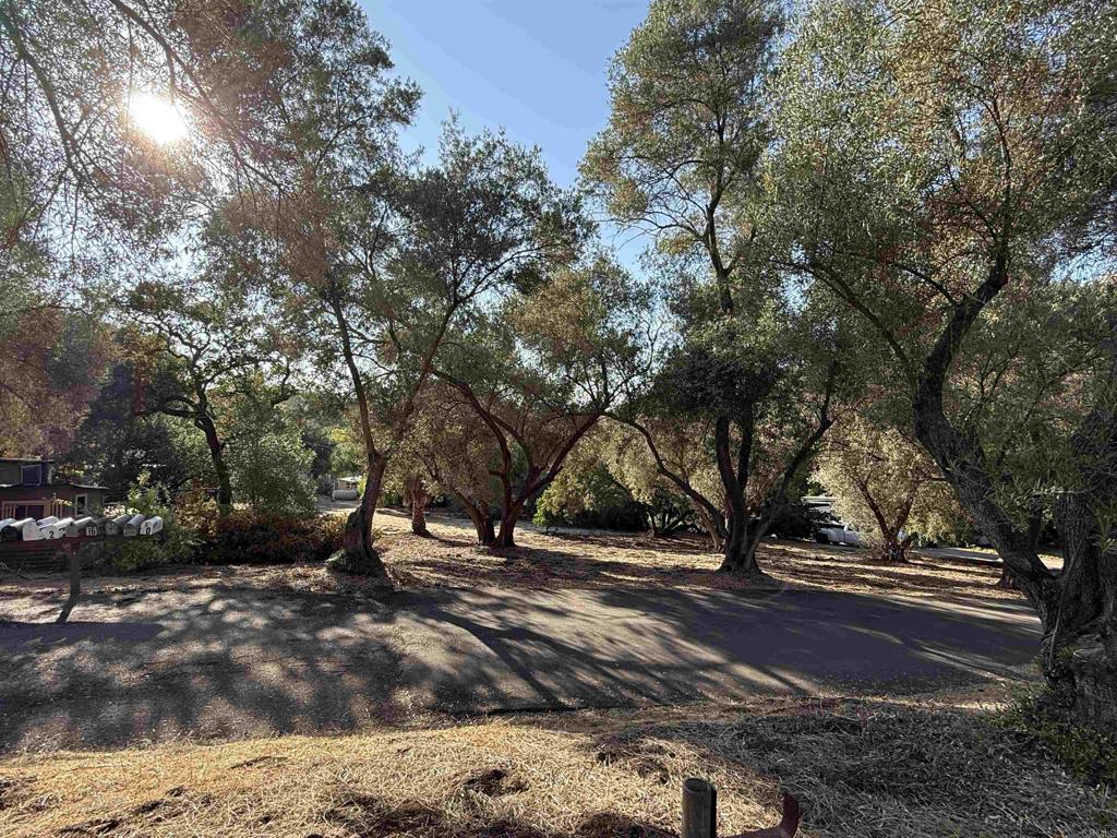 MLS #PTP2508821 image #10