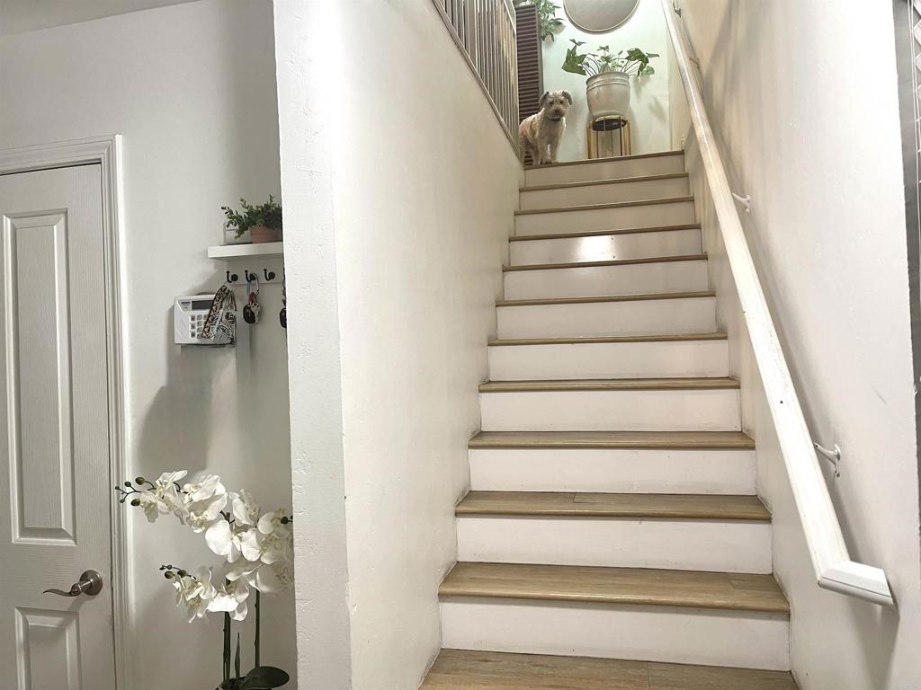 MLS #PTP2508853 image #5