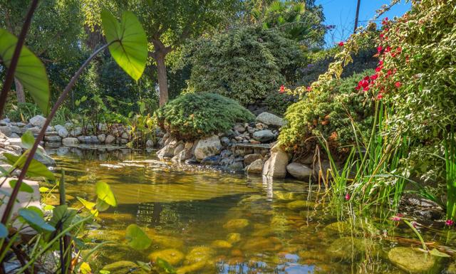 MLS #PTP2508905 image #22