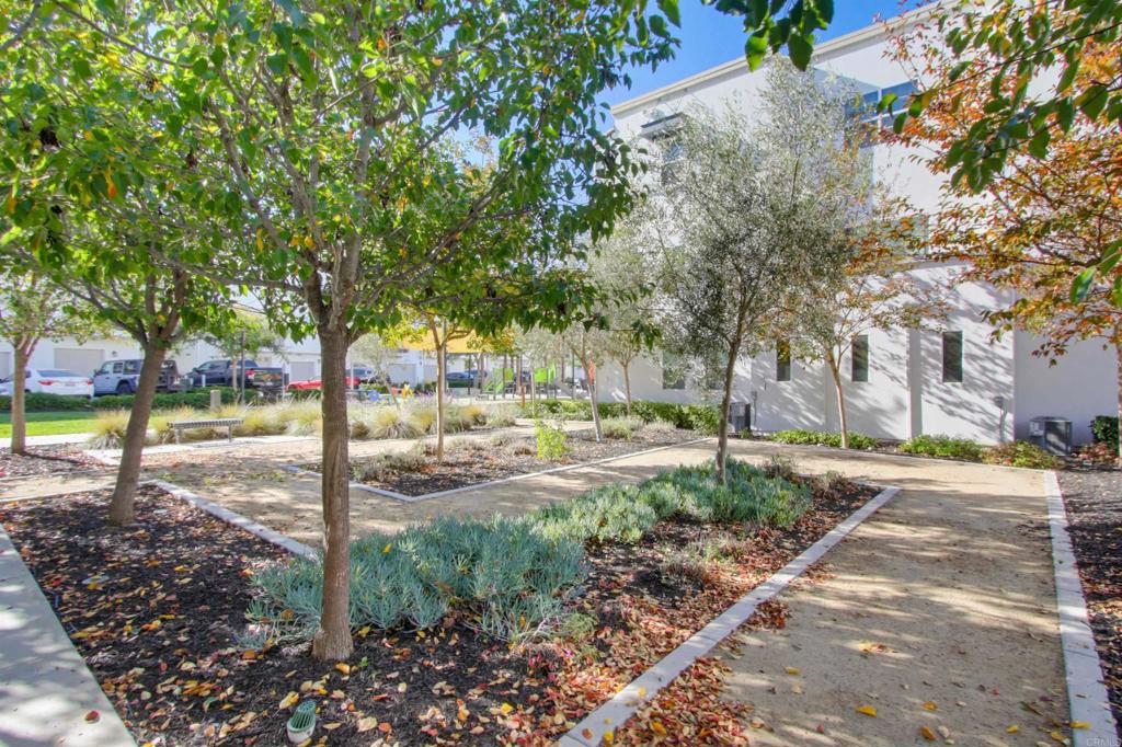 MLS #PTP2508985 image #58