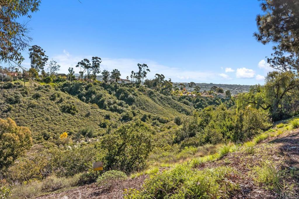 MLS #PTP2509015 image #19