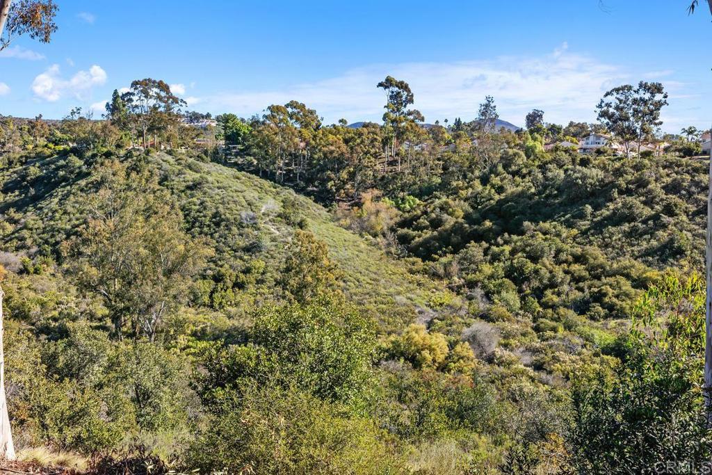 MLS #PTP2509015 image #20