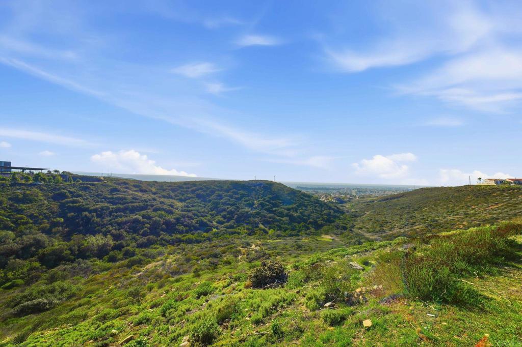 MLS #PTP2509037 image #41