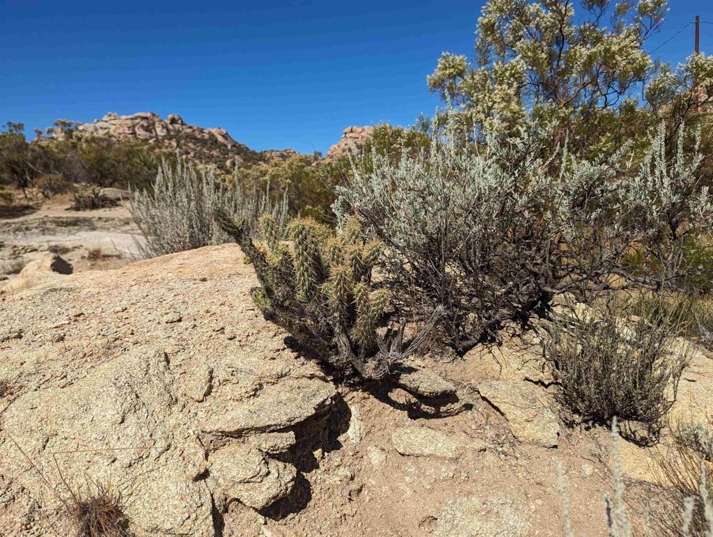 MLS #PTP2509099 image #8