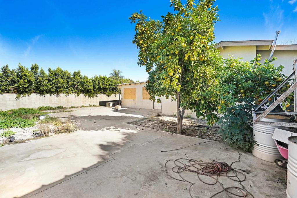 MLS #PTP2509108 image #6