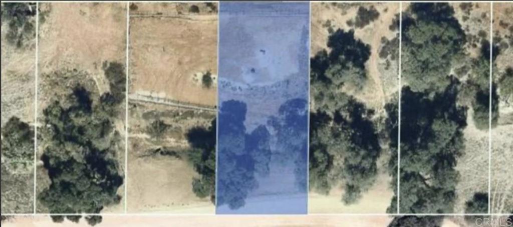 MLS #PTP2509147 image #3