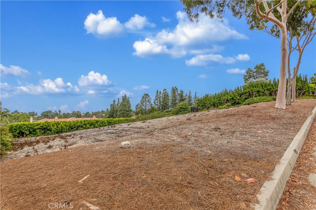 MLS #PV20209558 image #24