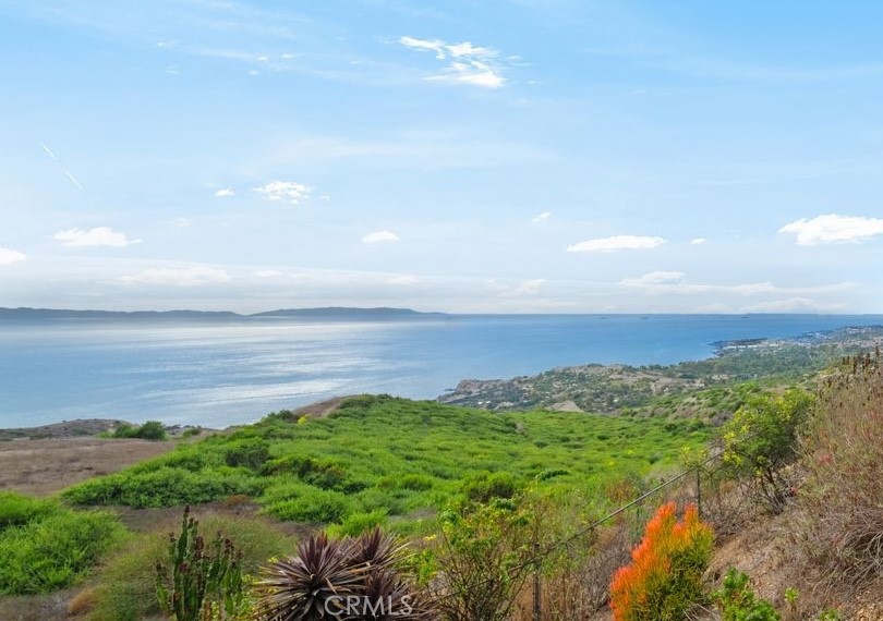 MLS #PV25021216 image #1