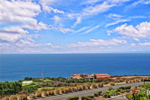 MLS #PV25030583 image #50