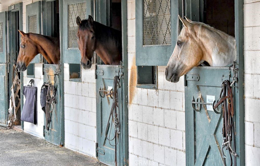 MLS #PV25037599 image #42