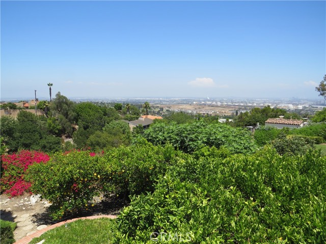 MLS #PV25067939 image #8