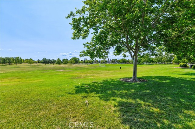 MLS #PV25097882 image #62