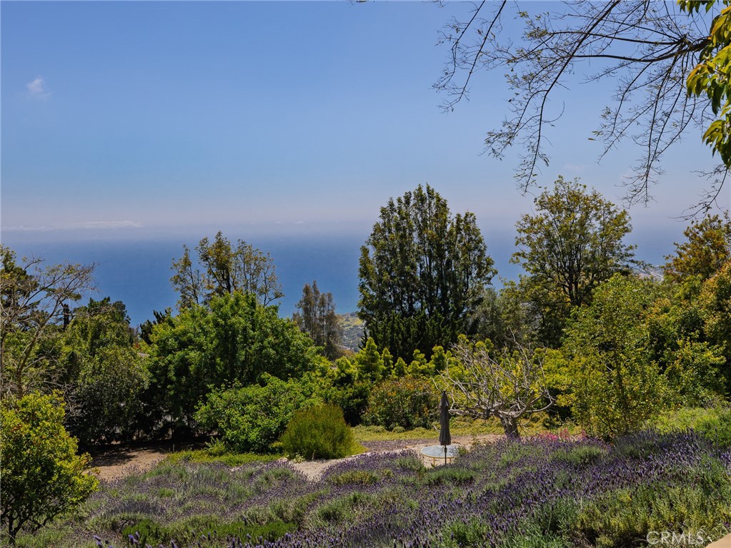 MLS #PV25107170 image #30