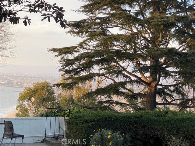 MLS #PV25138008 image #13